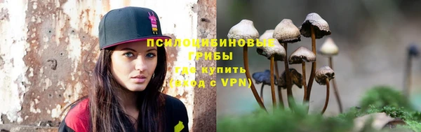 индика Аркадак