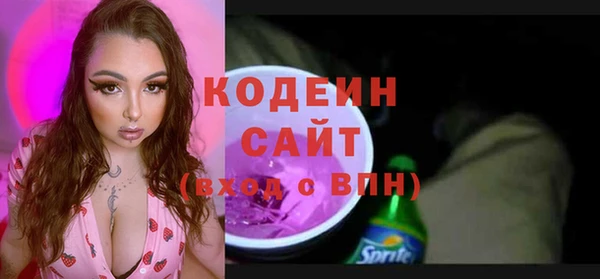 индика Аркадак