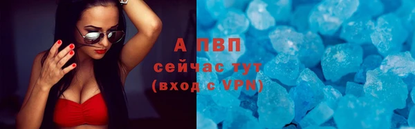 индика Аркадак