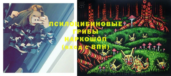 мдпв Навашино