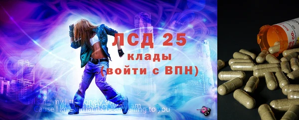 индика Аркадак