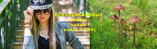 индика Аркадак