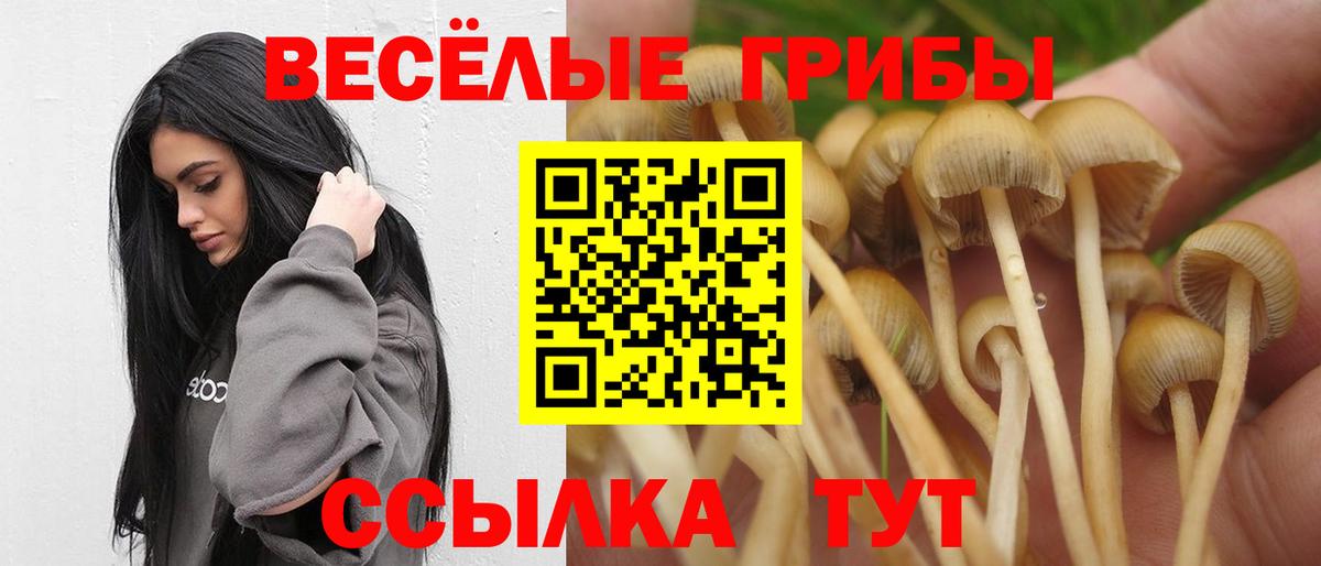 Псилоцибиновые грибы мицелий Коломна