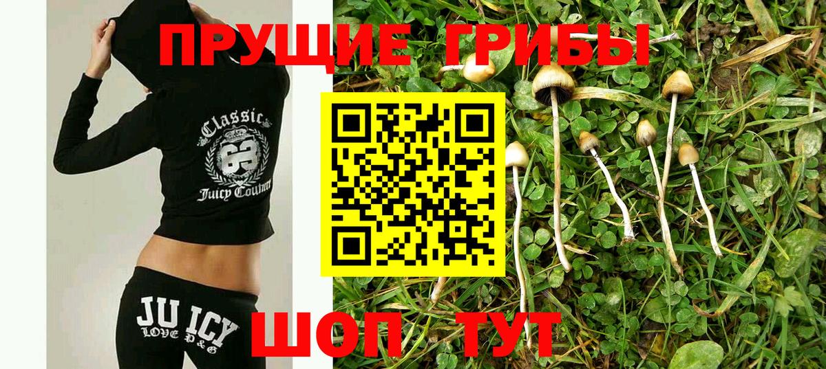 Коломна  Галлюциногенные грибы Magic Shrooms  Вход с VPN  Галлюциногенные грибы GOLDEN TEACHER 
